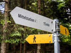 yellow and black road sign